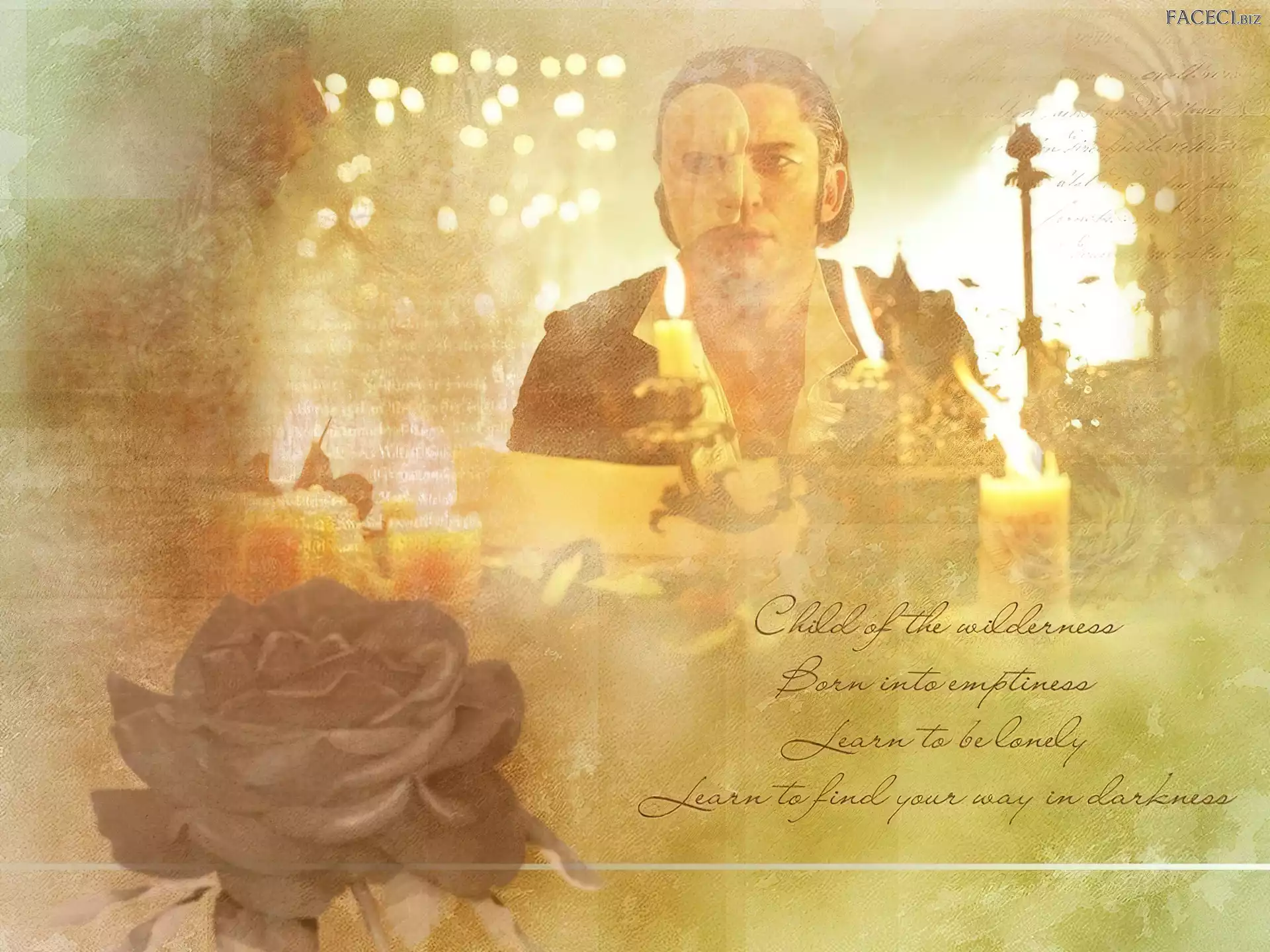 Gerard Butler, róża, Phantom Of The Opera, świece