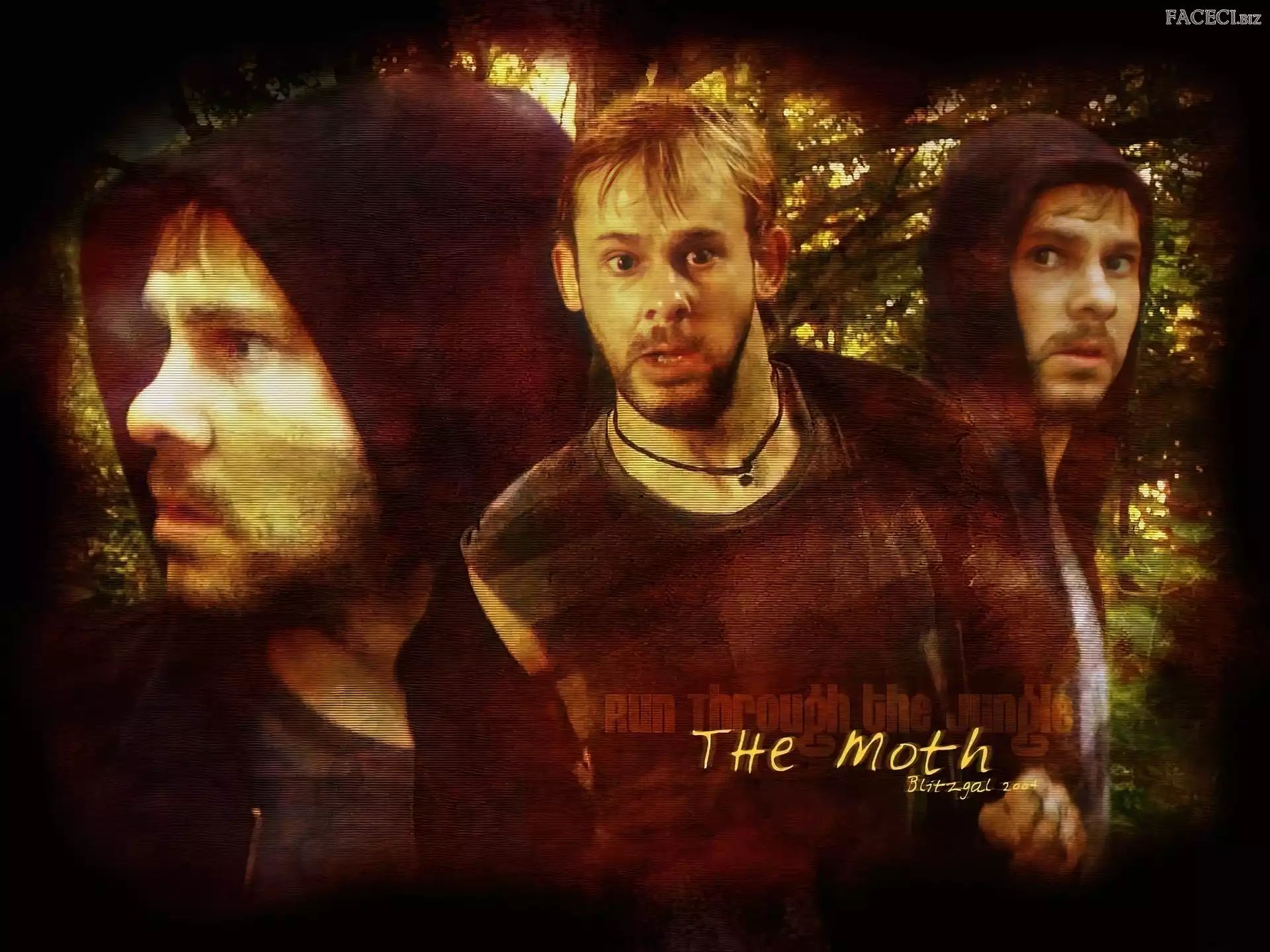 Serial, Lost, Dominic Monaghan, Zagubieni