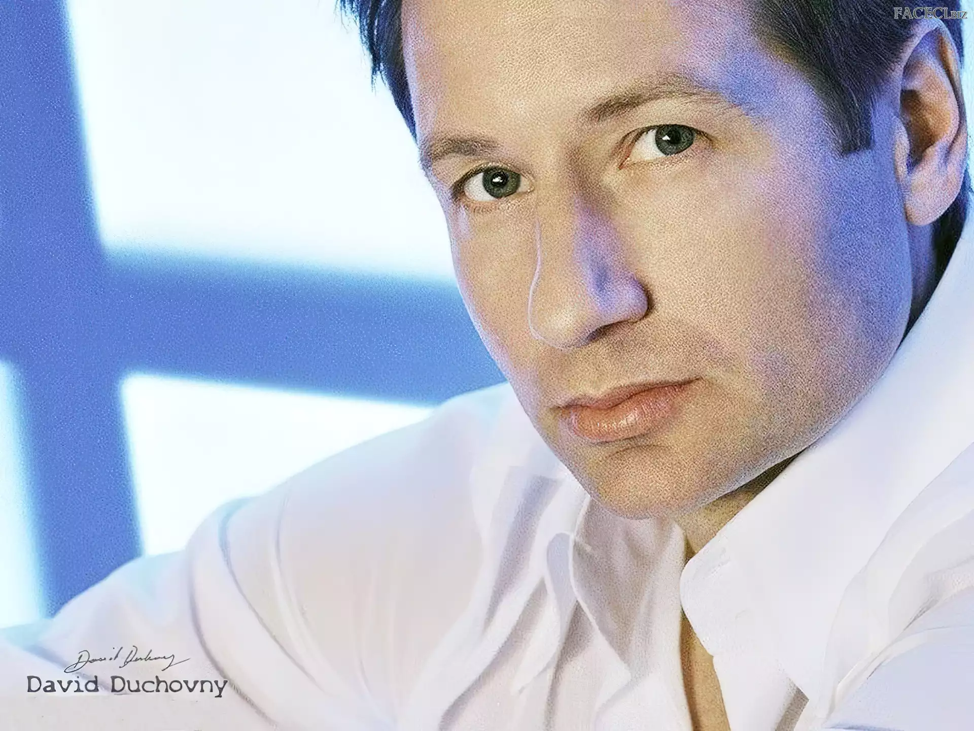 zielone oczy, David Duchovny, biała koszula
